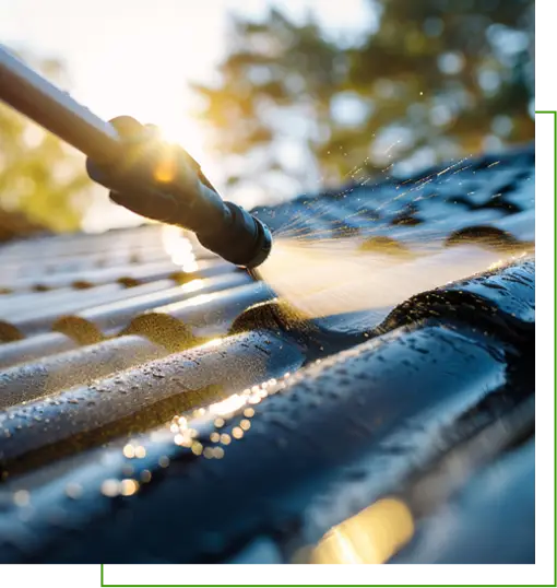 Outdoor Makeover: Outdoor Makeover: Roof-Cleaning-Why-Choose-Us