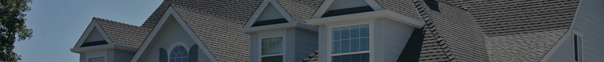 Outdoor Makeover: Roof_Replacement_Filler