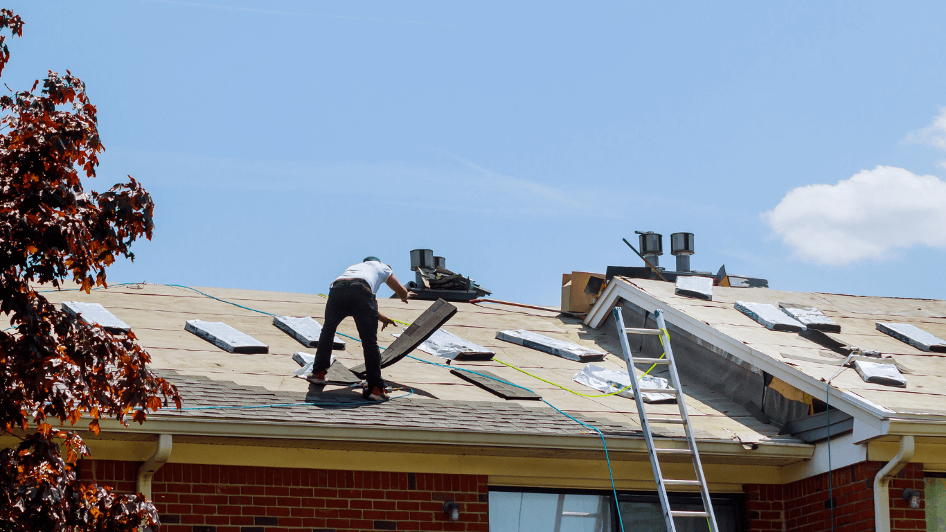 Outdoor Makeover:  Roof Inspection Guide