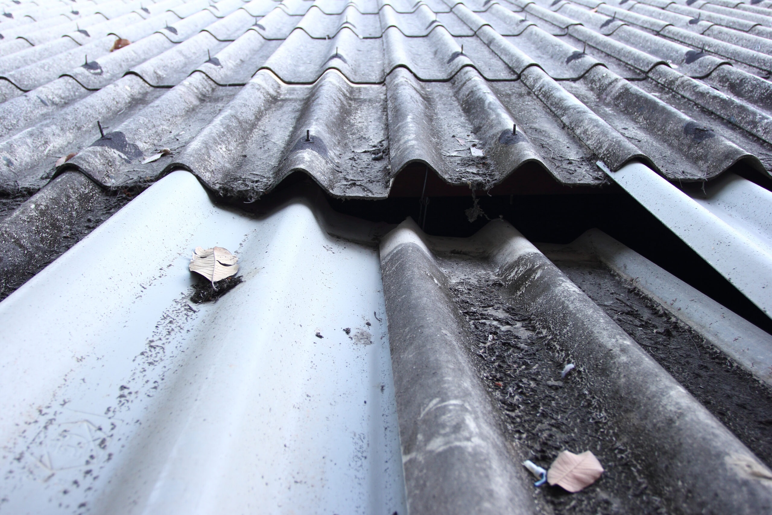 Outdoor Makeover Roofing: Roof collapses