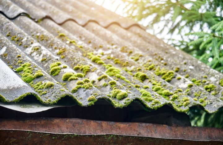 Roof moss Cleaning Near Me